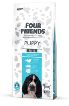 Four Friends Puppy